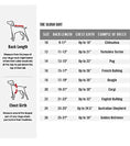 Charger l'image dans la visionneuse de la galerie, Canada Pooch Slush Suit & SnowSuit - Noir Canada Pooch
