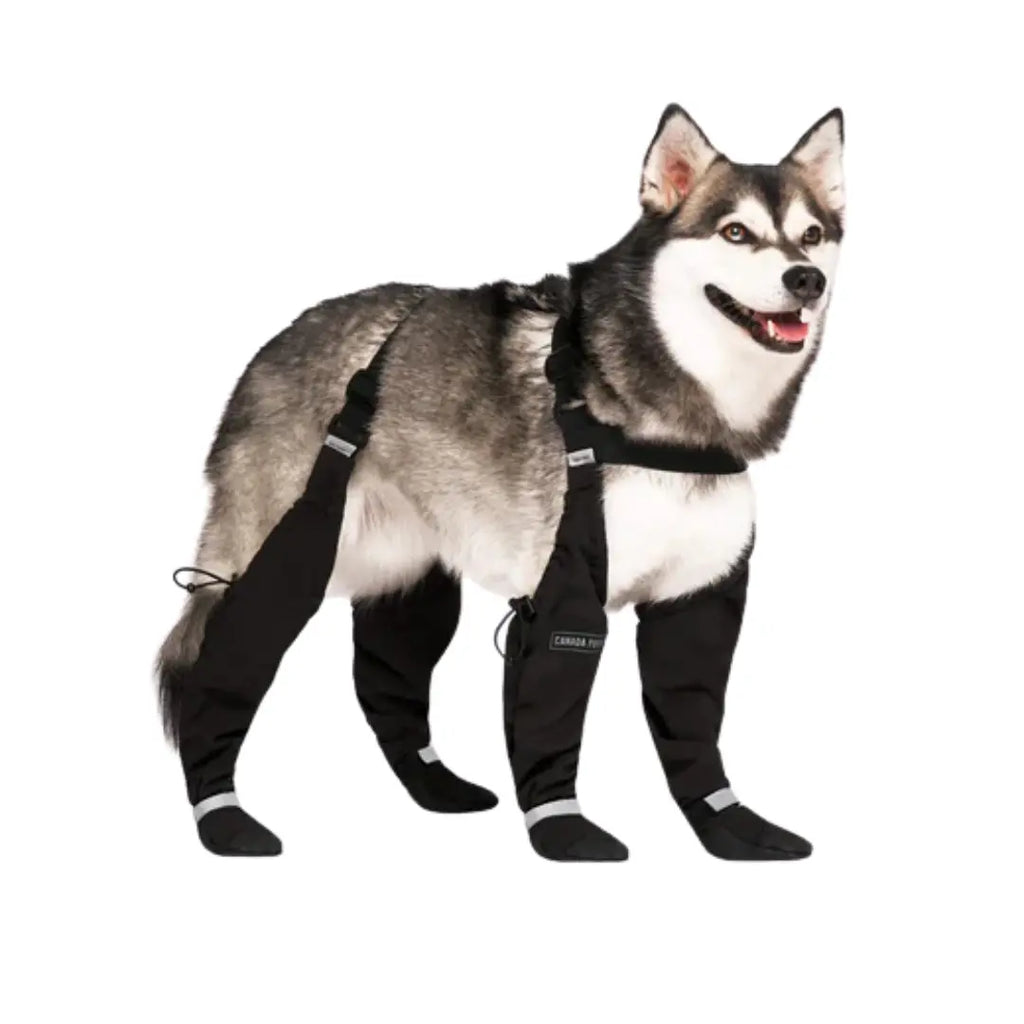Canada Pooch - Suspender - Bottes pour chien Canada Pooch