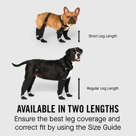 Canada Pooch - Suspender - Bottes pour chien Canada Pooch