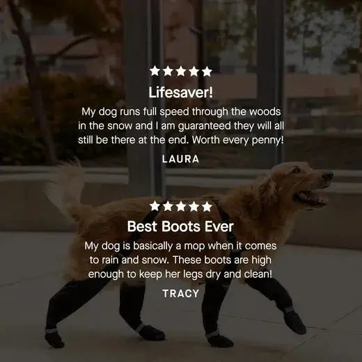 Canada Pooch - Suspender - Bottes pour chien Canada Pooch