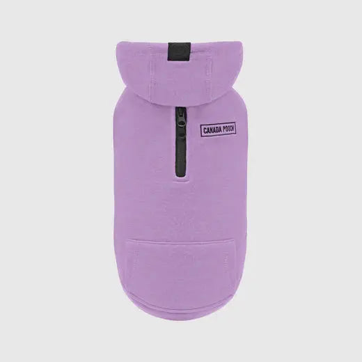 Canada Pooch - Sweat à Capuche ECO+ pour chiens Canada Pooch