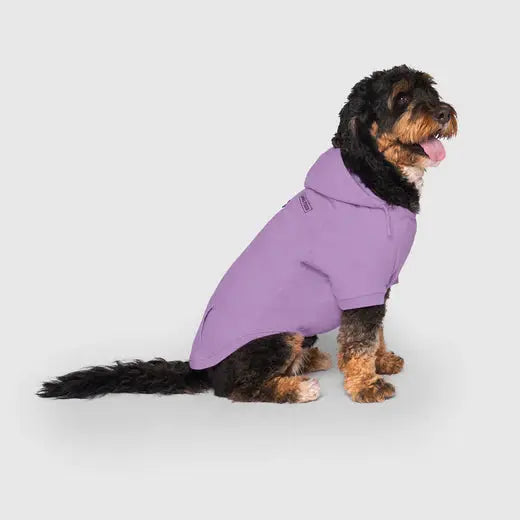 Canada Pooch - Sweat à Capuche ECO+ pour chiens Canada Pooch