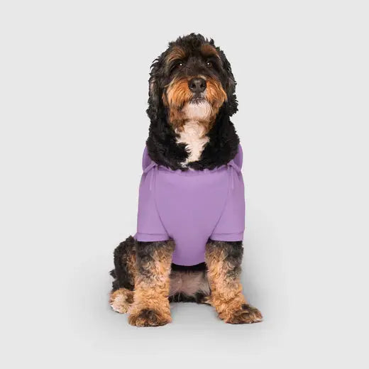 Canada Pooch - Sweat à Capuche ECO+ pour chiens Canada Pooch