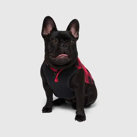 Canada Pooch - Thermal Tech Sweater - Red Plaid Canada Pooch