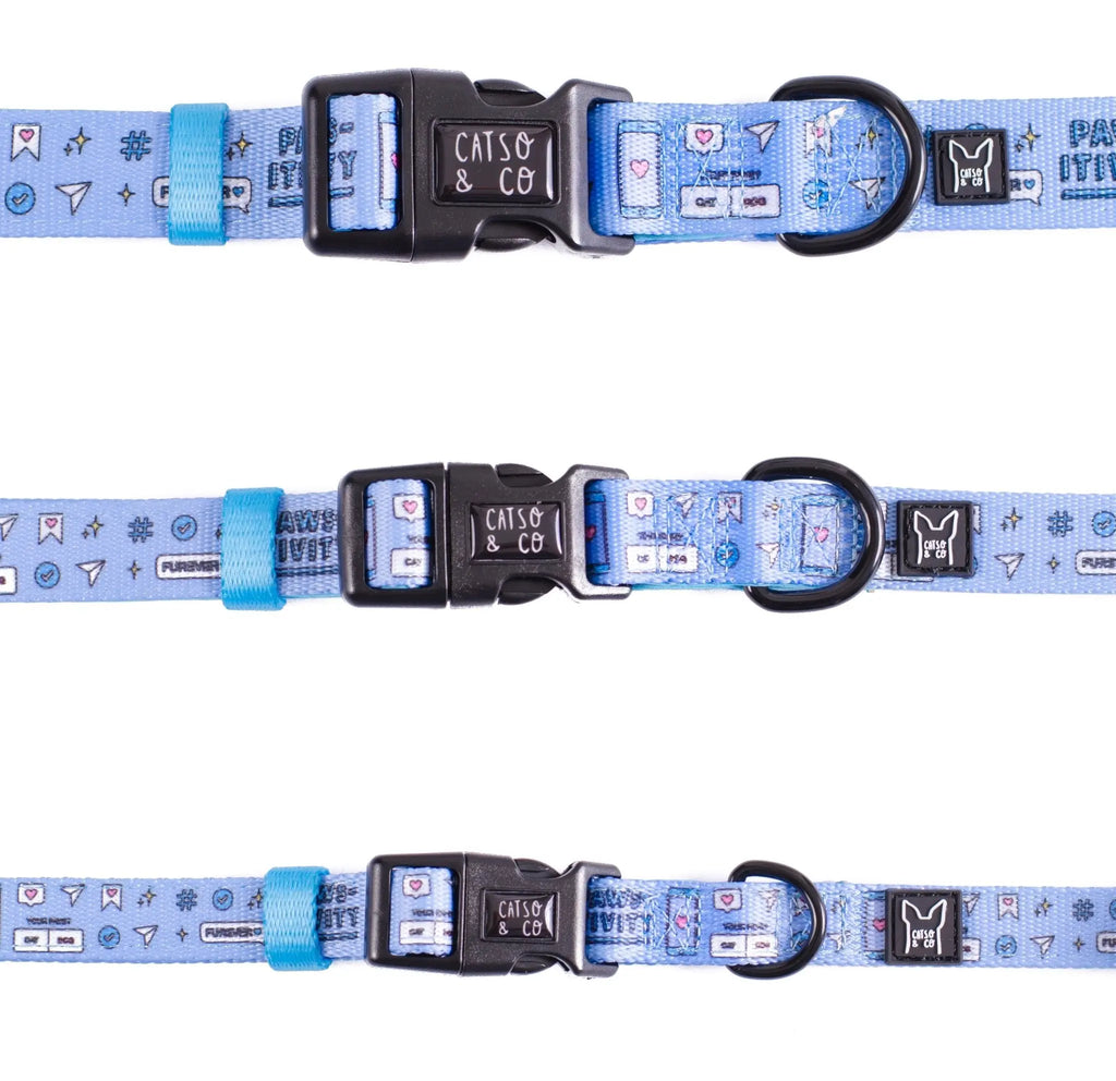 Hashtag Catso - adjustable collar - Catso & co