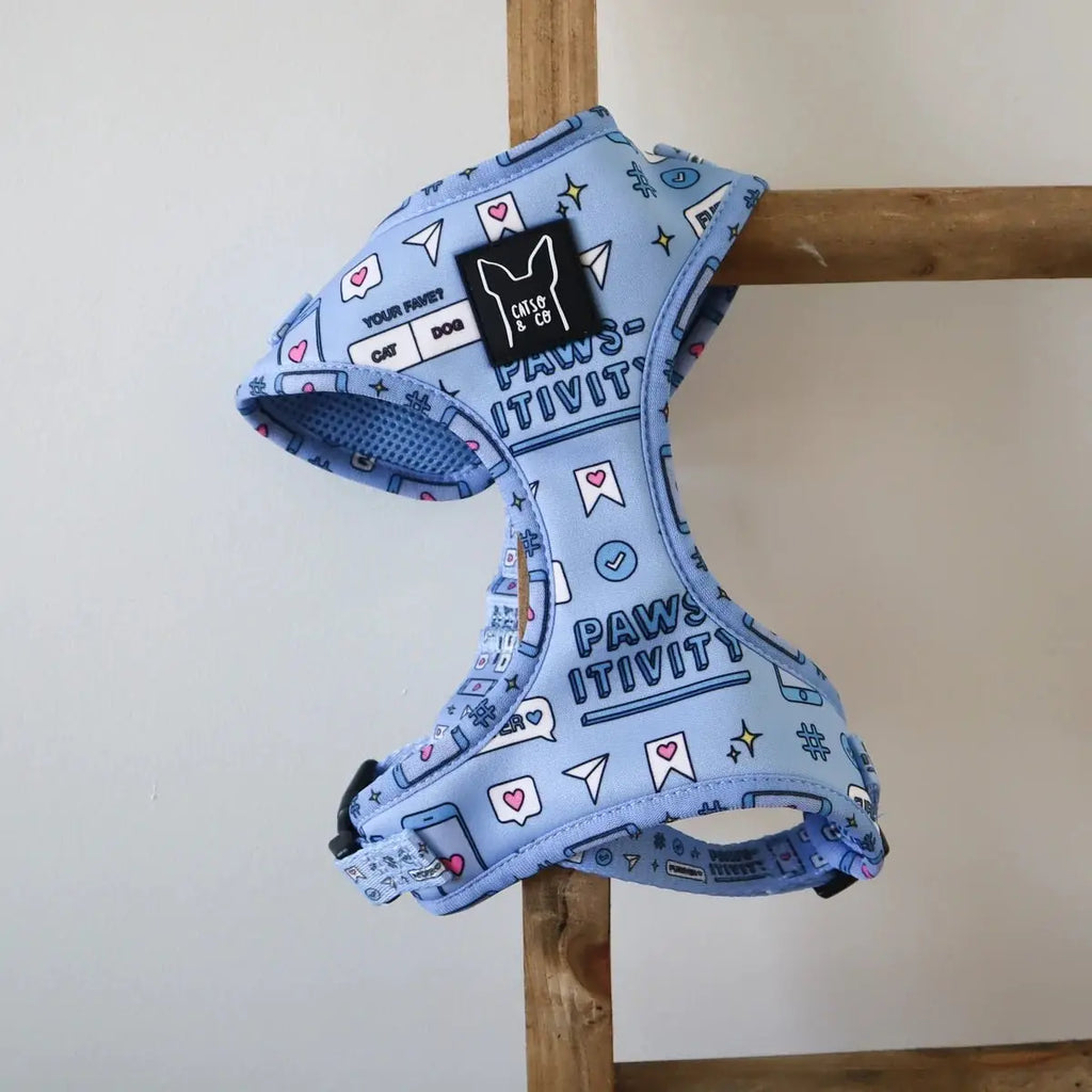 Hashtag Catso - Adjustable harness - Catso & co