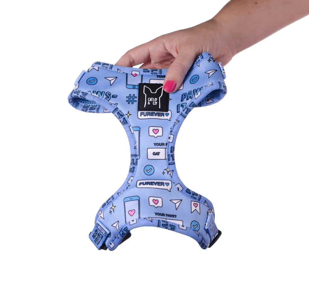 Hashtag Catso - Adjustable harness - Catso & co