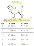 Load image into Gallery viewer, Hashtag Catso - Adjustable harness - Catso & co
