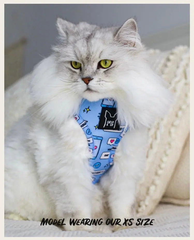 Hashtag Catso - Adjustable harness - Catso & co