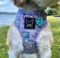 Load image into Gallery viewer, SKY - Adjustable harness NEW - Catso & co
