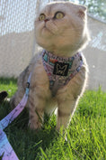 Load image into Gallery viewer, SKY - Adjustable harness NEW - Catso & co
