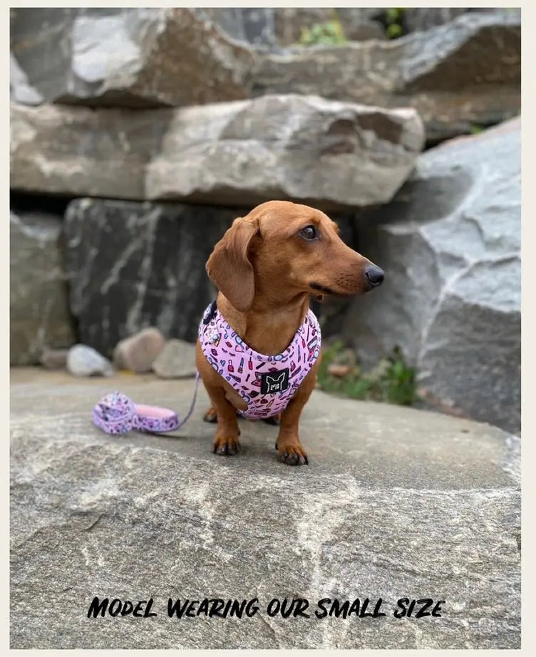 Sassy - Adjustable harness - Catso & co