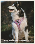 Load image into Gallery viewer, Sassy - Adjustable harness - Catso & co
