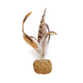 Charger l'image dans la visionneuse de la galerie, Catwant – Silvervine Lyophilisé Sucette aux fruits de galle pour Chat Catwant
