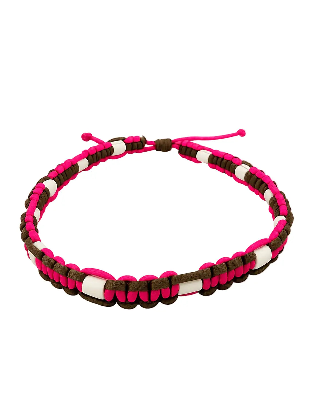 Collier Anti-Tique pour animaux