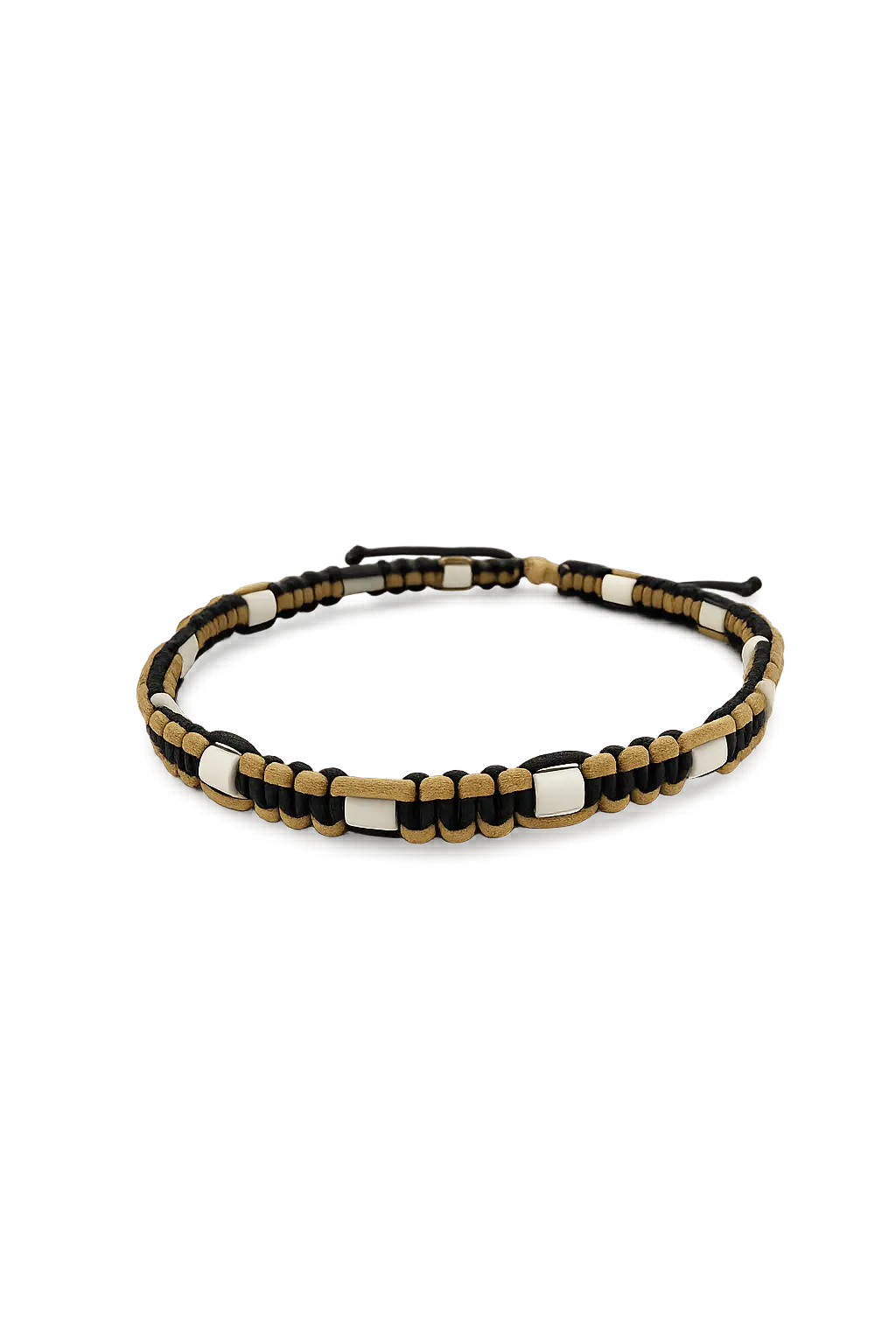 Collier Anti-Tique pour animaux
