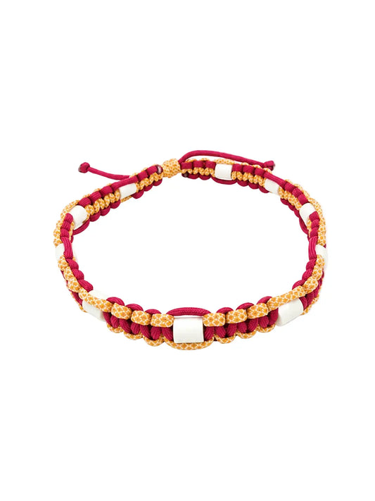 Anti-Tick Collar for Animals
