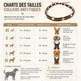 Charger l'image dans la visionneuse de la galerie, Collier Anti-Tique pour animaux
