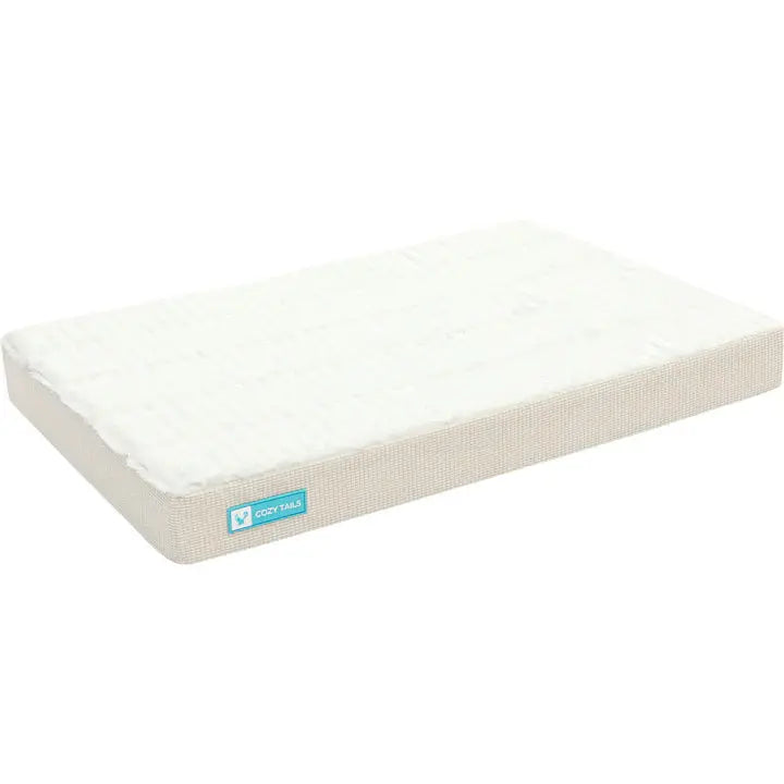Dog Beds and Blankets Accessories