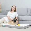 Charger l'image dans la visionneuse de la galerie, CozyTails - Matelas pour Animaux - Variétés de Grandeur CozyTail
