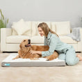 Charger l'image dans la visionneuse de la galerie, CozyTails - Matelas pour Animaux - Variétés de Grandeur CozyTail
