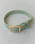 Charger l'image dans la visionneuse de la galerie, DexyPaws - Collier impermeable Livora
