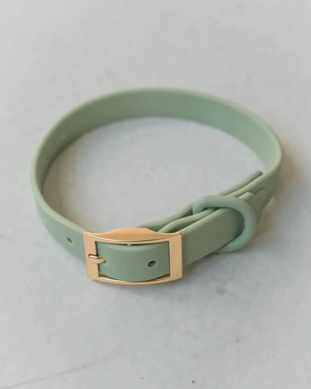 DexyPaws - Collier impermeable Livora