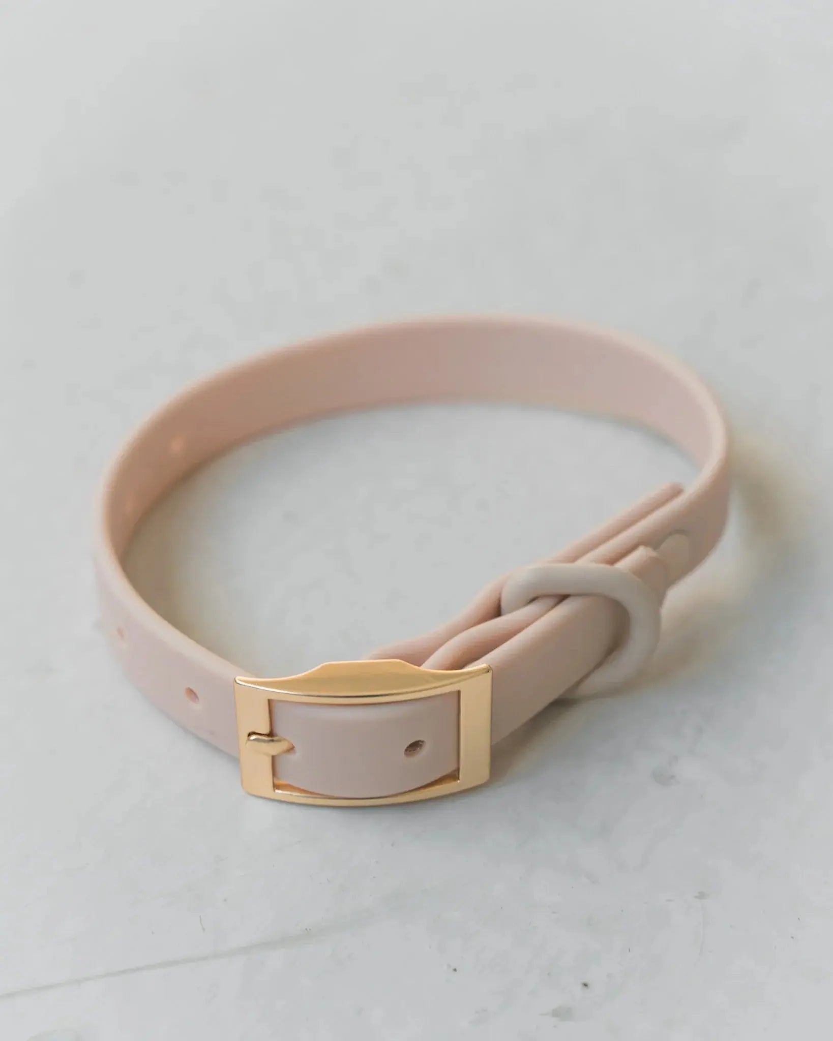 DexyPaws - Collier impermeable Livora
