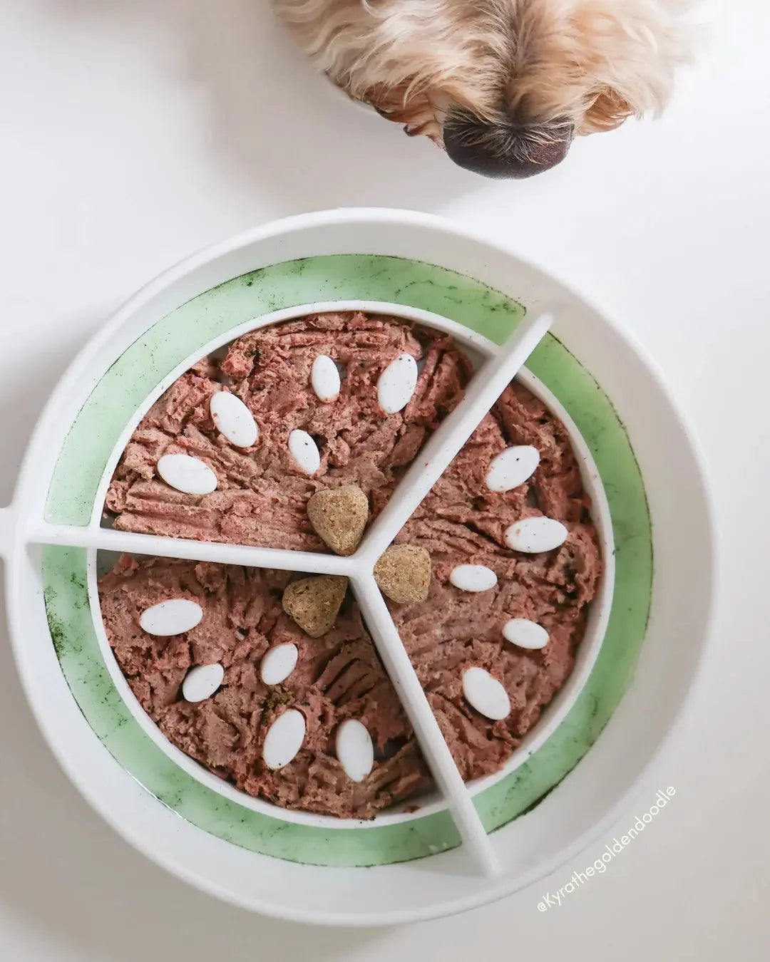 Dog's Crush - Bol Melon Neige 3 en 1 pour animaux