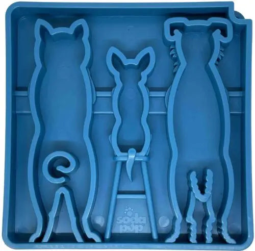 Big Country Raw - Etray Feeder Waiting Bleu Big Country Raw