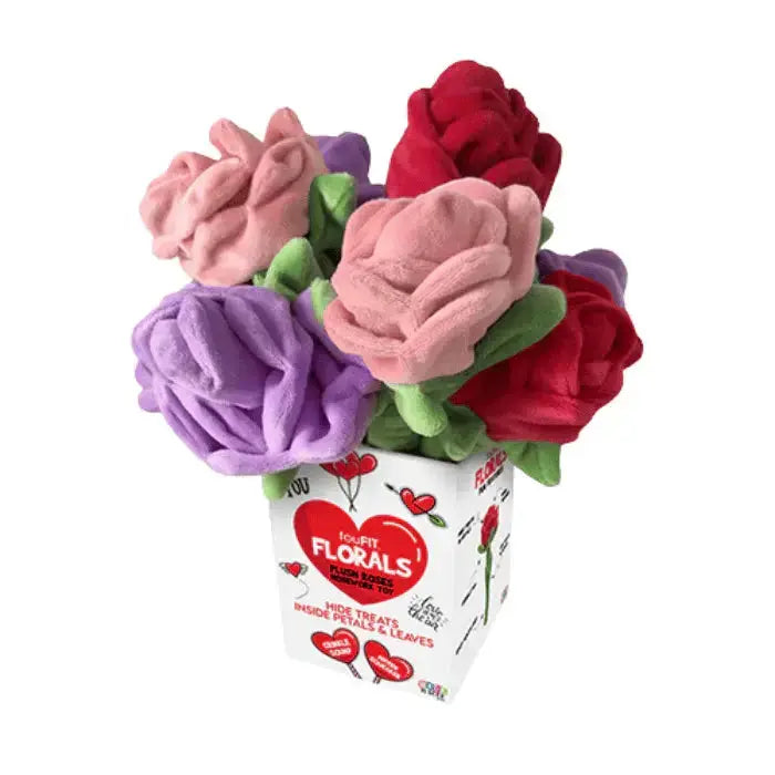 Rose en peluche Livora