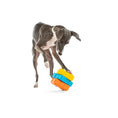 Load image into Gallery viewer, Guru - Dog-X Cube Guru
