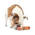 Load image into Gallery viewer, Guru - Multi-Flavor Stick M Guru
