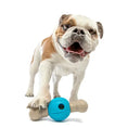 Load image into Gallery viewer, Guru - Spin & Chew Bacon Bone M Guru
