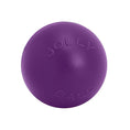Load image into Gallery viewer, Jolly Pets - Push-N-Play Ball Jolly Pet
