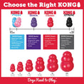 Load image into Gallery viewer, KONG - Classic Jouet pour chien KONG ™
