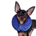 Load image into Gallery viewer, KONG - Cloud Collier de protection pour chien KONG ™
