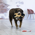 Charger l'image dans la visionneuse de la galerie, KONG - Comfort Pups - Variétés de Sélections KONG ™
