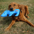 Load image into Gallery viewer, Kong - Ballistic Jouet Rhino pour chiens KONG ™
