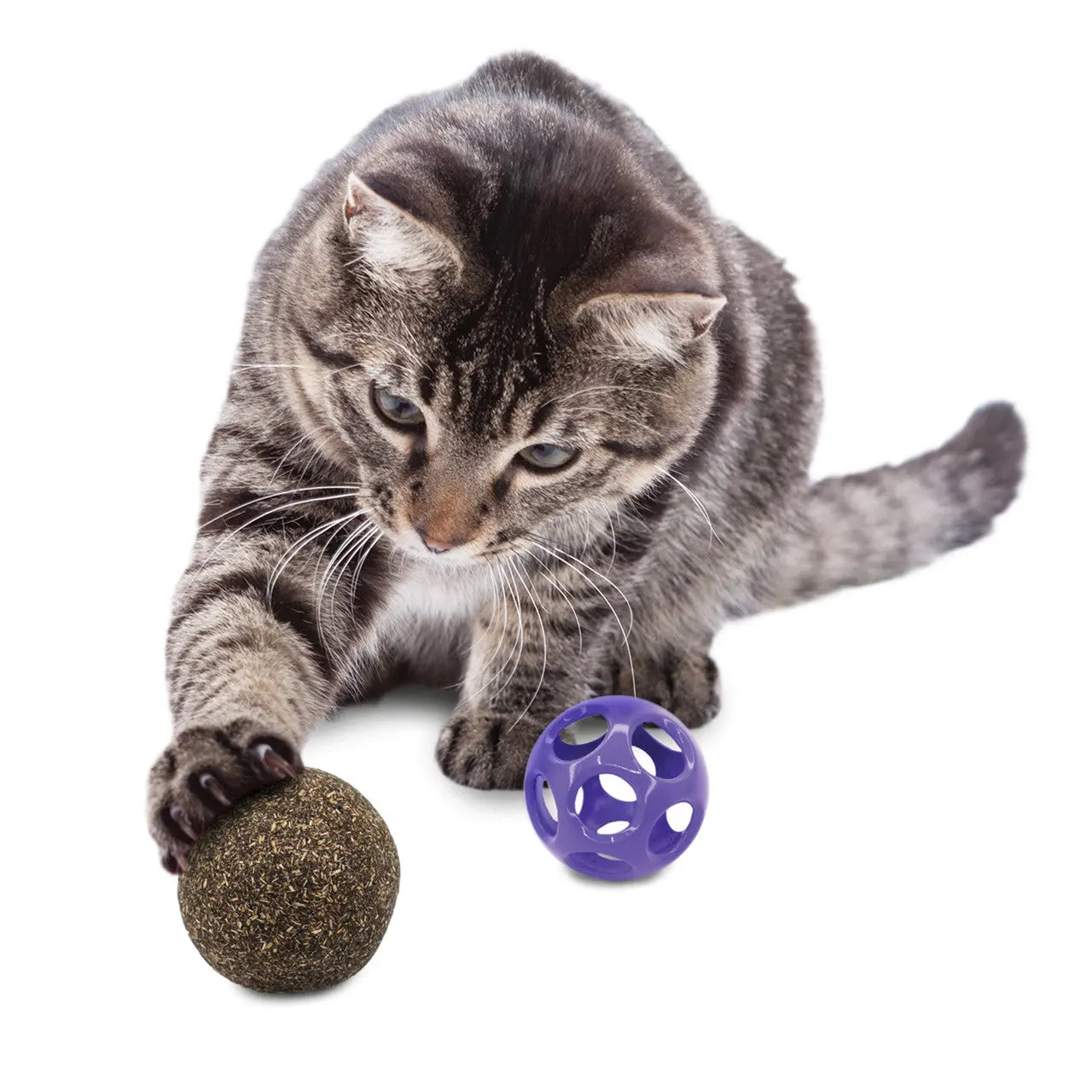Kong - Boule Blissy avec herbe à chat KONG ™