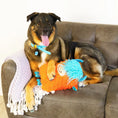 Load image into Gallery viewer, Kong Comfort - Jouet Vache des Highlands pour chiens
