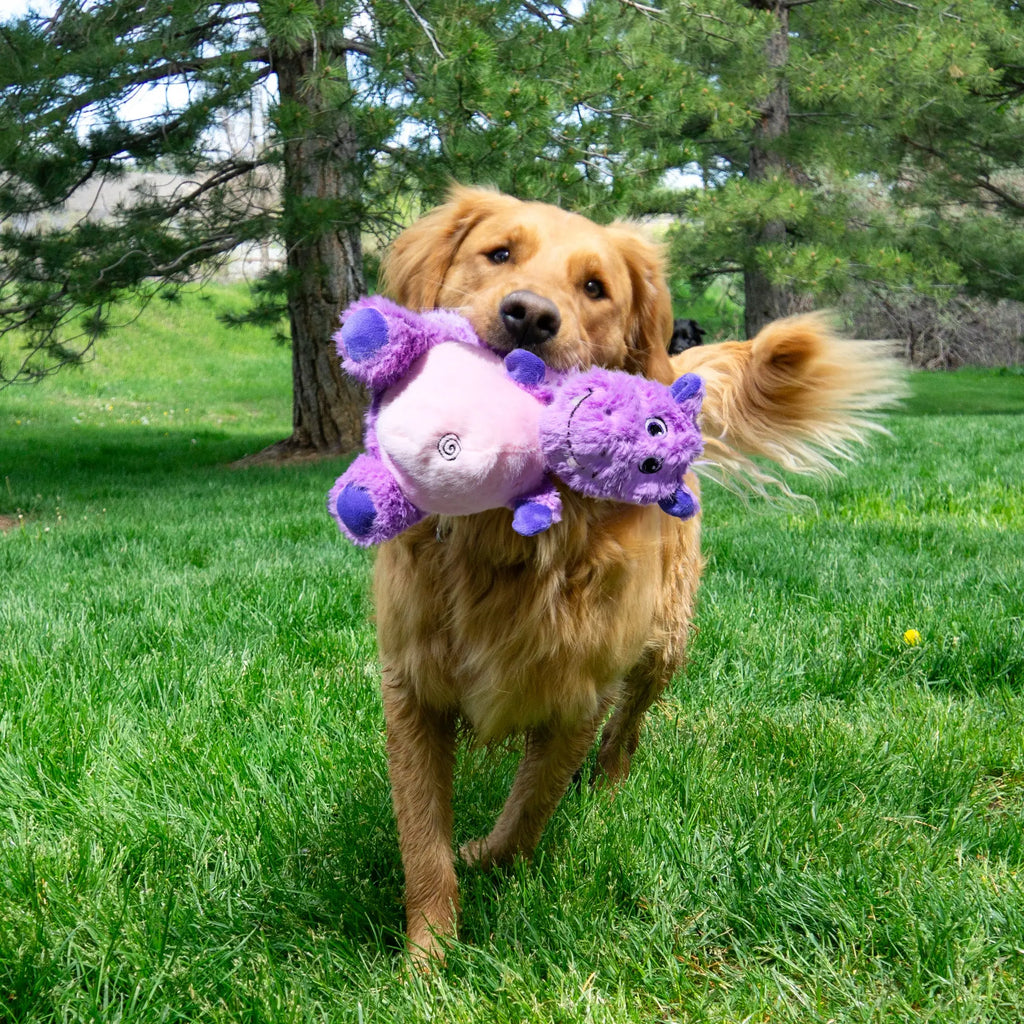 Kong - Hippopotame à bédaine jouet pour chien KONG ™