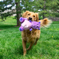 Load image into Gallery viewer, Kong - Hippopotame à bédaine jouet pour chien KONG ™
