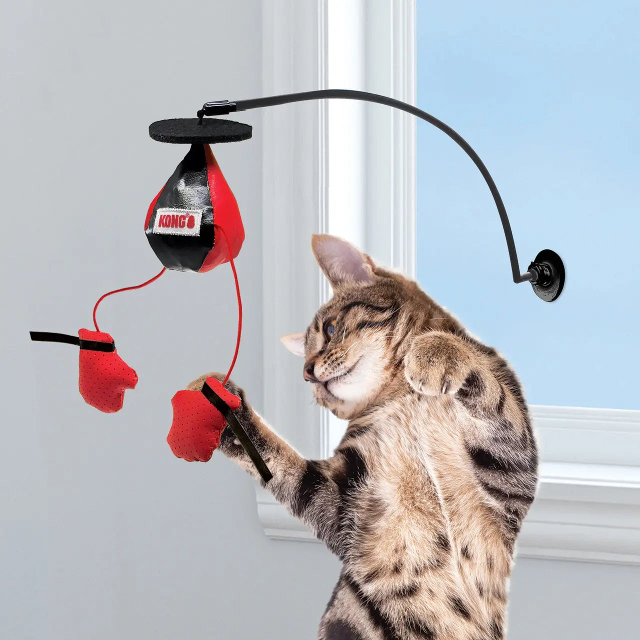 Kong - Jouet Connects Window Boxing pour chats KONG ™