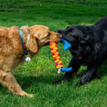 Load image into Gallery viewer, KONG - Rope Rally Stick Medium for Dogs

