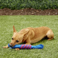 Load image into Gallery viewer, Kong - Tugga Wubba Large for Dogs
