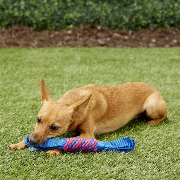 Kong - Tugga Wubba Large for Dogs