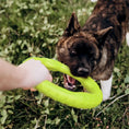 Load image into Gallery viewer, LaRoo - Anneau Durable jouet tug pour chien LaRoo

