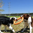 Load image into Gallery viewer, LaRoo - Anneau Durable jouet tug pour chien LaRoo
