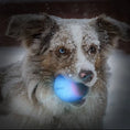 Load image into Gallery viewer, LaRoo - Balle LED qui illumine la nuit pour Chien LaRoo
